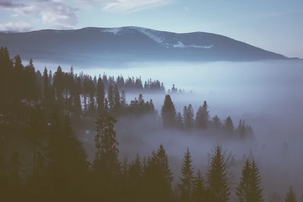 Brouillard dans les montagnes — Photo