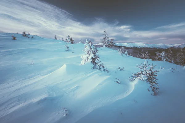 Winter in the mountains — Stock Photo, Image