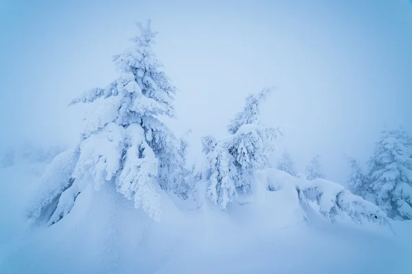 Paisaje invernal de cuento —  Fotos de Stock