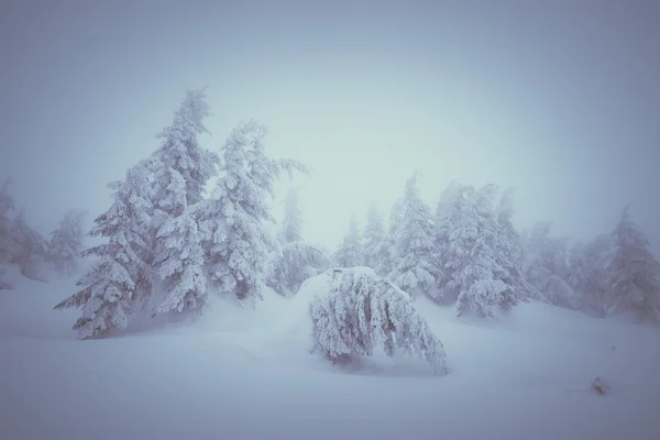 Paesaggio invernale da favola — Foto Stock