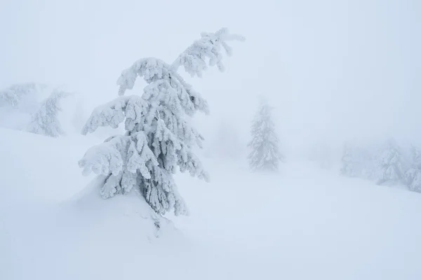 Wspaniały zimowy krajobraz — Zdjęcie stockowe