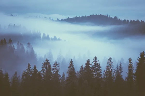 Nevoeiro nas encostas da montanha — Fotografia de Stock