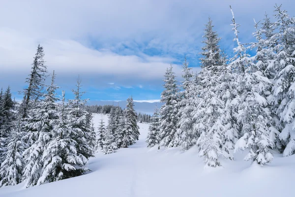 Trail in de sneeuw in de bergen — Stockfoto