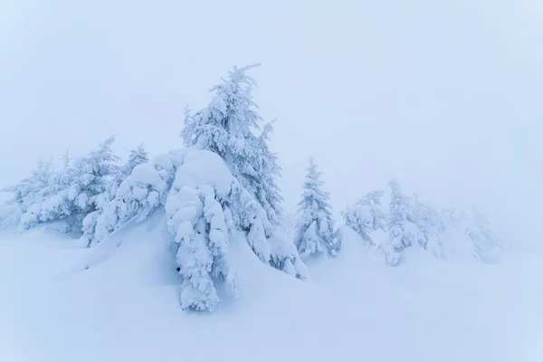 Paisaje de Navidad — Foto de Stock