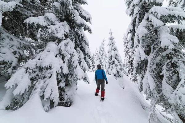 Mann im verschneiten Wald — Stockfoto