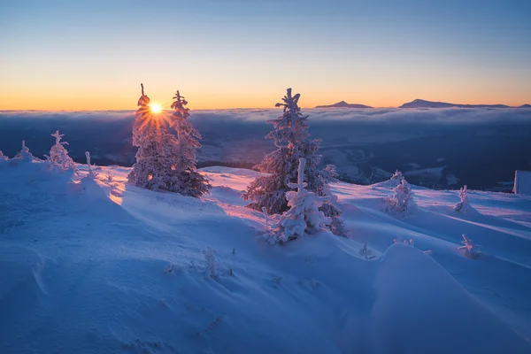 Winterlandschap met de rijzende zon — Stockfoto