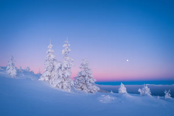 Frosty morning in mountains — Stock Photo, Image