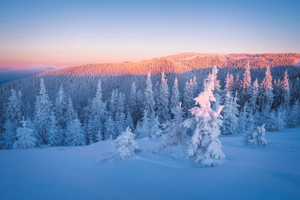 Paesaggio invernale mattina gelida — Foto Stock