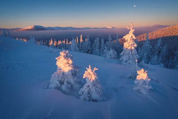 Paysage matinal d'hiver — Photo