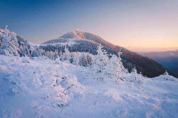 Paesaggio invernale al mattino — Foto Stock