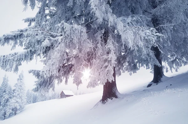 Dağlarda bir ev — Stok fotoğraf