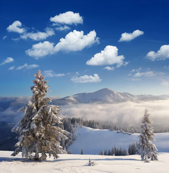 Hermosa vista de Navidad —  Fotos de Stock