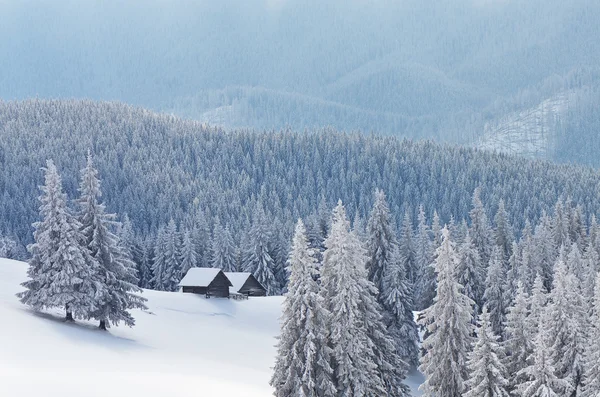 Case di legno nella foresta di montagna in inverno — Foto Stock