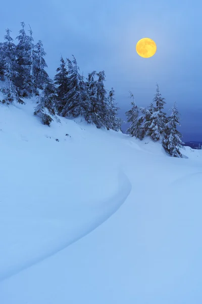 月の山の森林 — ストック写真