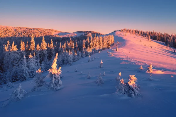 Alba in montagna in inverno — Foto Stock