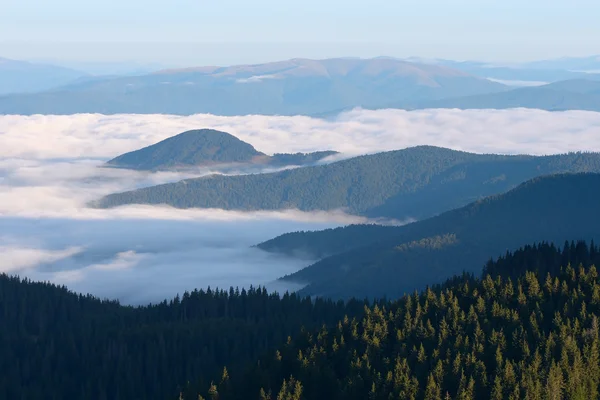 Nevoeiro matutino nas montanhas — Fotografia de Stock