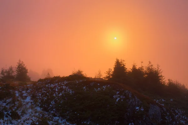 Sunlight in the fog at sunset — Stock Photo, Image
