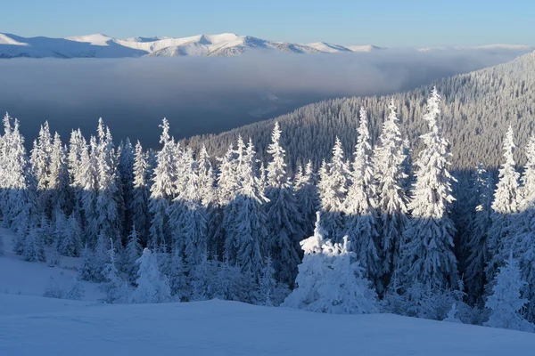 Paisagem de inverno nas montanhas — Fotografia de Stock