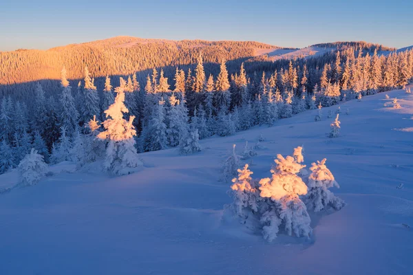 阳光明媚的早晨，在山上冬季 — 图库照片