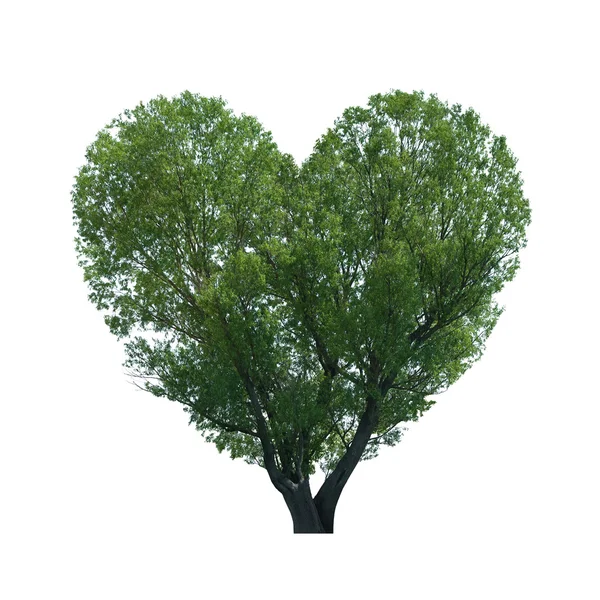 Tree in the shape of heart — Stock Photo, Image