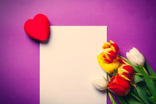 Beau bouquet de tulipes et de papier blanc — Photo