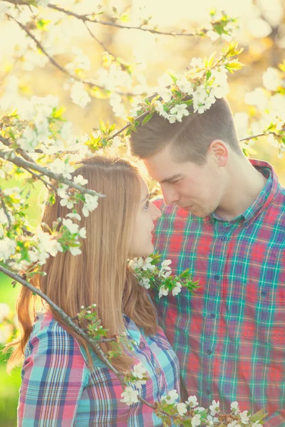 Pareja bajo el árbol —  Fotos de Stock