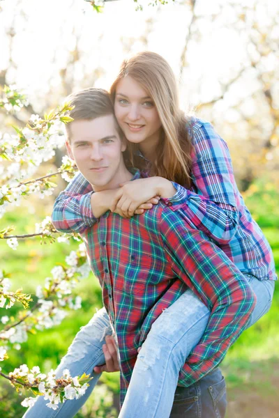 Couple under the tree — Stock Photo, Image