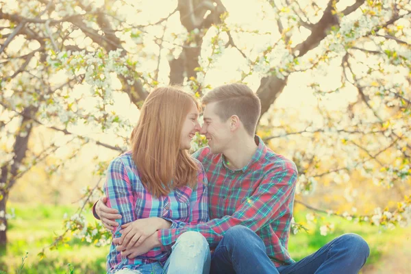 Paar im Apfelbaumgarten — Stockfoto