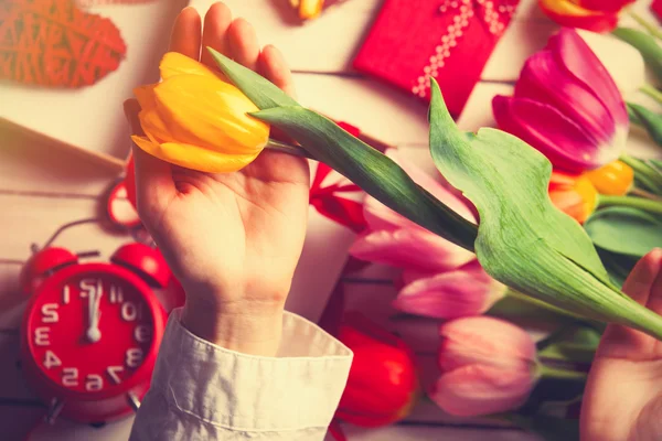 Руки женщины держат цветок тюльпана — стоковое фото