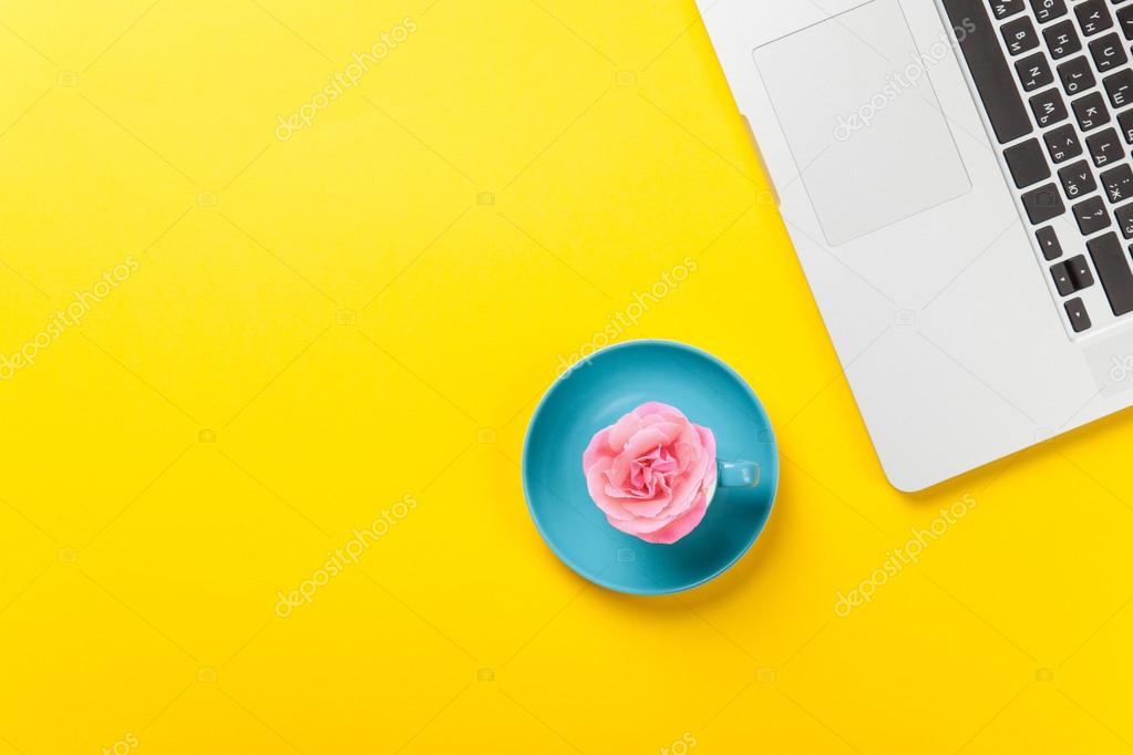 massonforstock