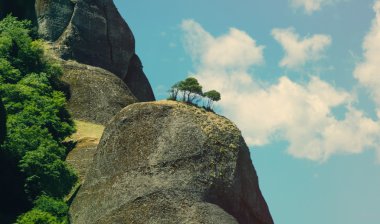 gökyüzü arka plan kayada ağaçta