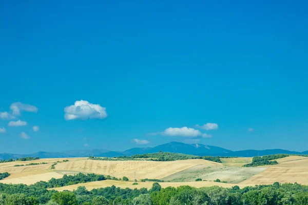 Krásné pole na pozadí hory — Stock fotografie