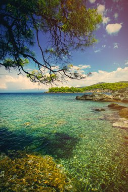 taş Coast fotoğraf