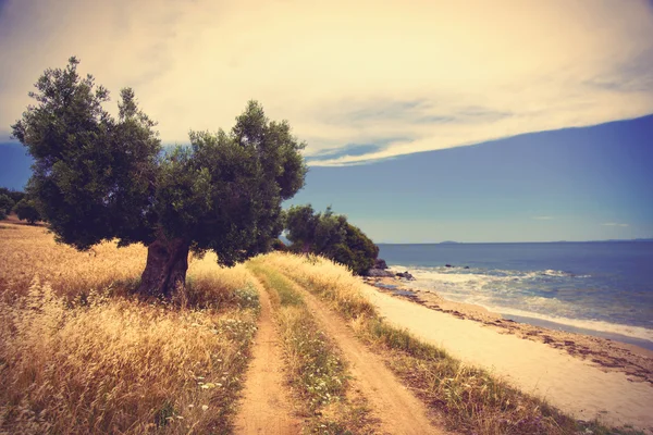 Ülke yan yol — Stok fotoğraf