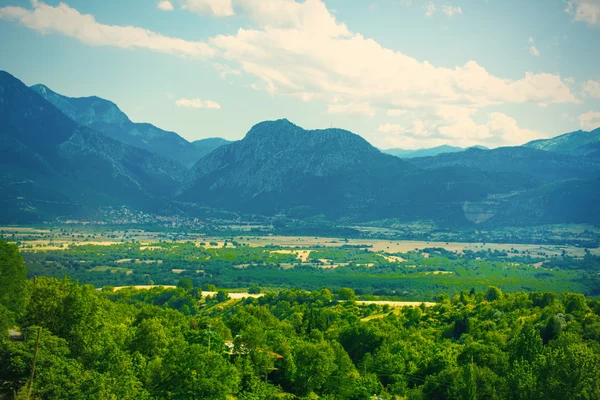 Beautiful field on the mountain — Stock Photo, Image