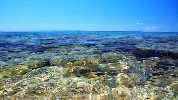 백그라운드에서 바다 파도 — 비디오