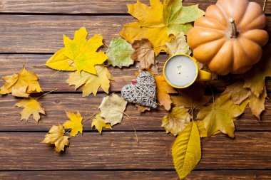 düşen yapraklar, kabak, oyuncak ve kahve