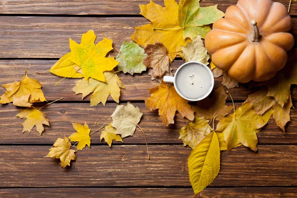 Hojas caídas, calabaza y taza de café — Foto de Stock