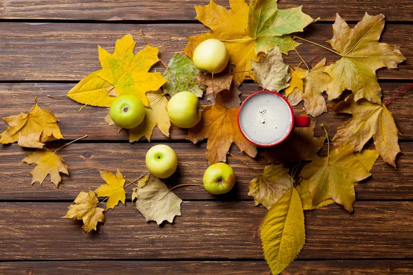 Natura morta con flora autunnale — Foto Stock