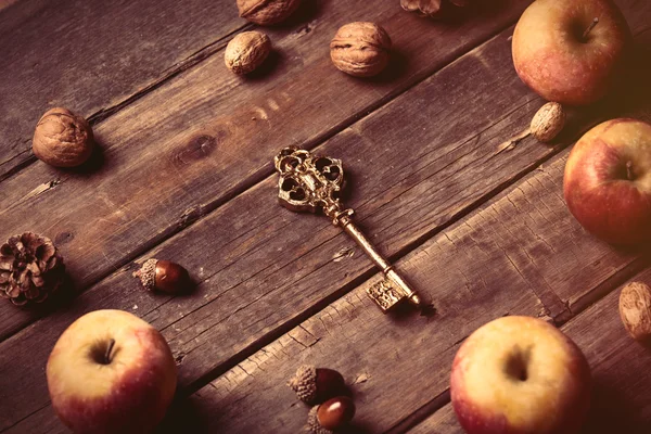 Jabłka, klucz, szyszki jodły i orzechów — Zdjęcie stockowe