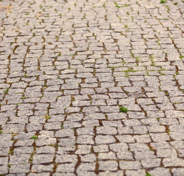 Paving stone in Poland — Stock Photo, Image