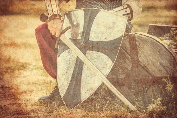 Warrior with sword and shield Royalty Free Stock Images