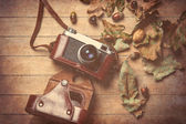 fotoaparát a spadané listí