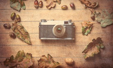 kamera ve düşen yapraklar