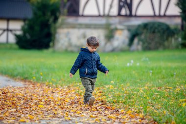 Küçük çocuk sonbaharda parkta düşen yapraklarla oynuyor. 