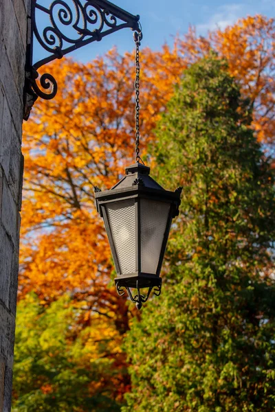 Sonbahar Sezonunda Sokakta Duvar Feneri Virginia Sürüngeni — Stok fotoğraf