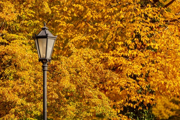 Stile Liberty Lanterna Strada Con Acero Giallo Sullo Sfondo — Foto Stock