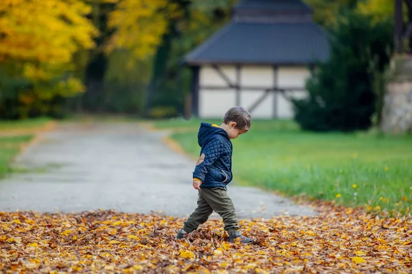 아이는 가을에 공원에서 낙엽가지고 — 스톡 사진