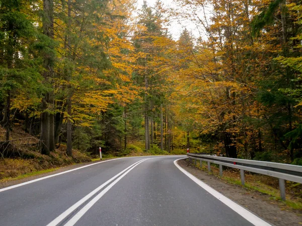 Blick Vom Fahrersitz Auf Die Herbstliche Landschaft Der Straße Niederschlesien — Stockfoto