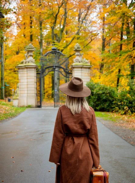 秋天公园里穿着棕色外套 提着手提箱的时尚女郎 — 图库照片